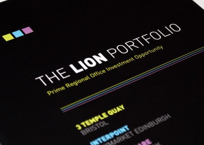 The Lion Portfolio