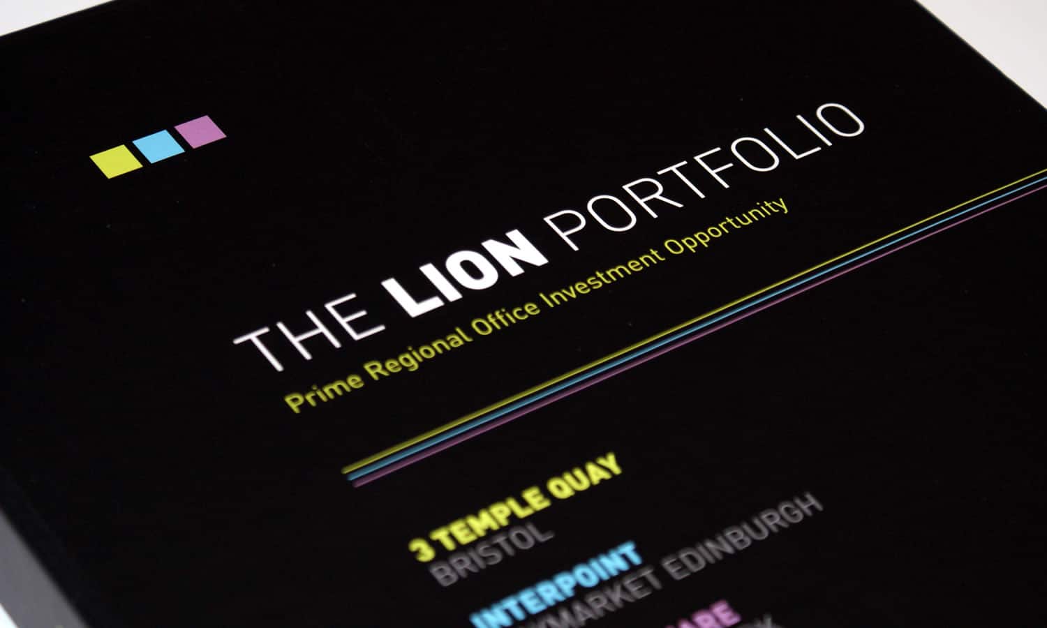 The Lion Portfolio