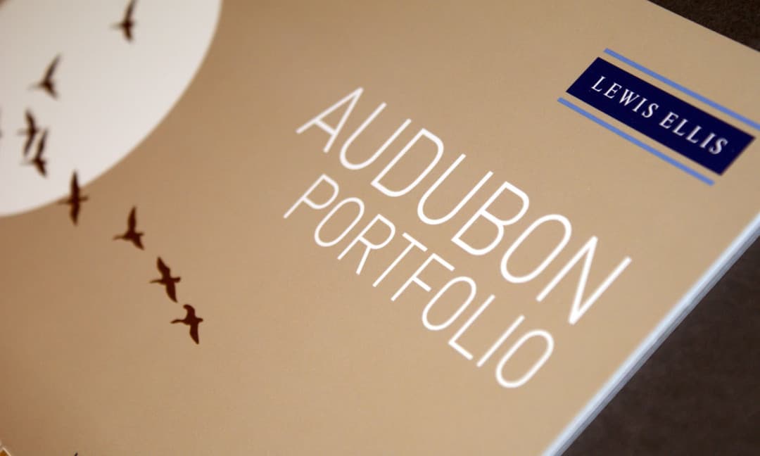 Audubon Portfolio