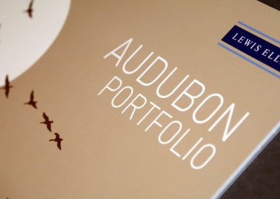 The Audabon Portfolio