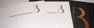 Blanchardstown Investment Brochure strip