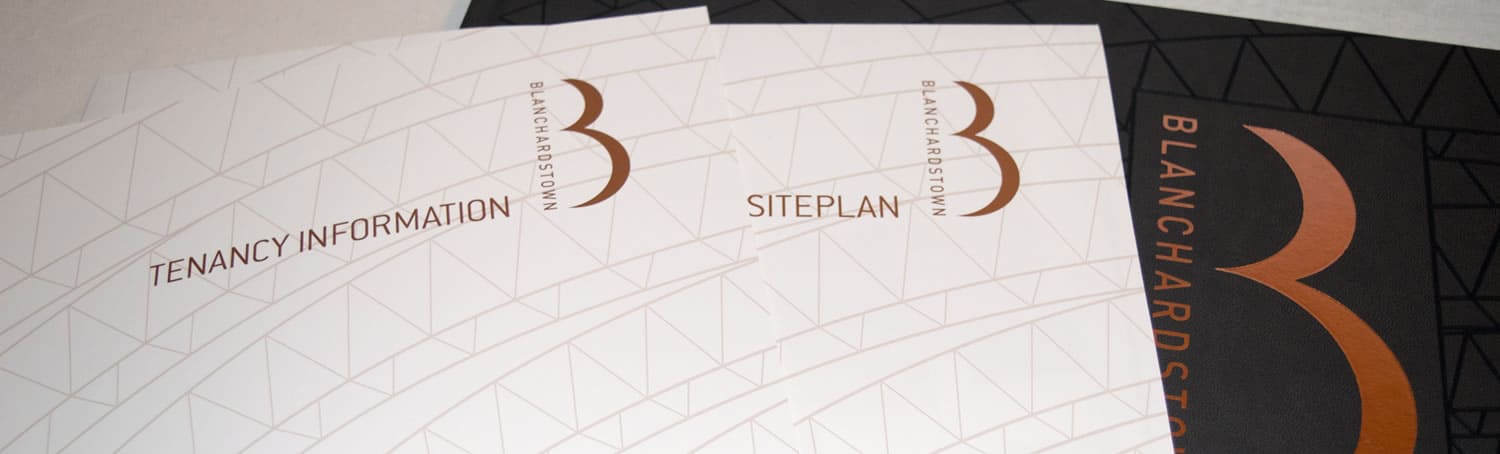 Blanchardstown Investment Brochure