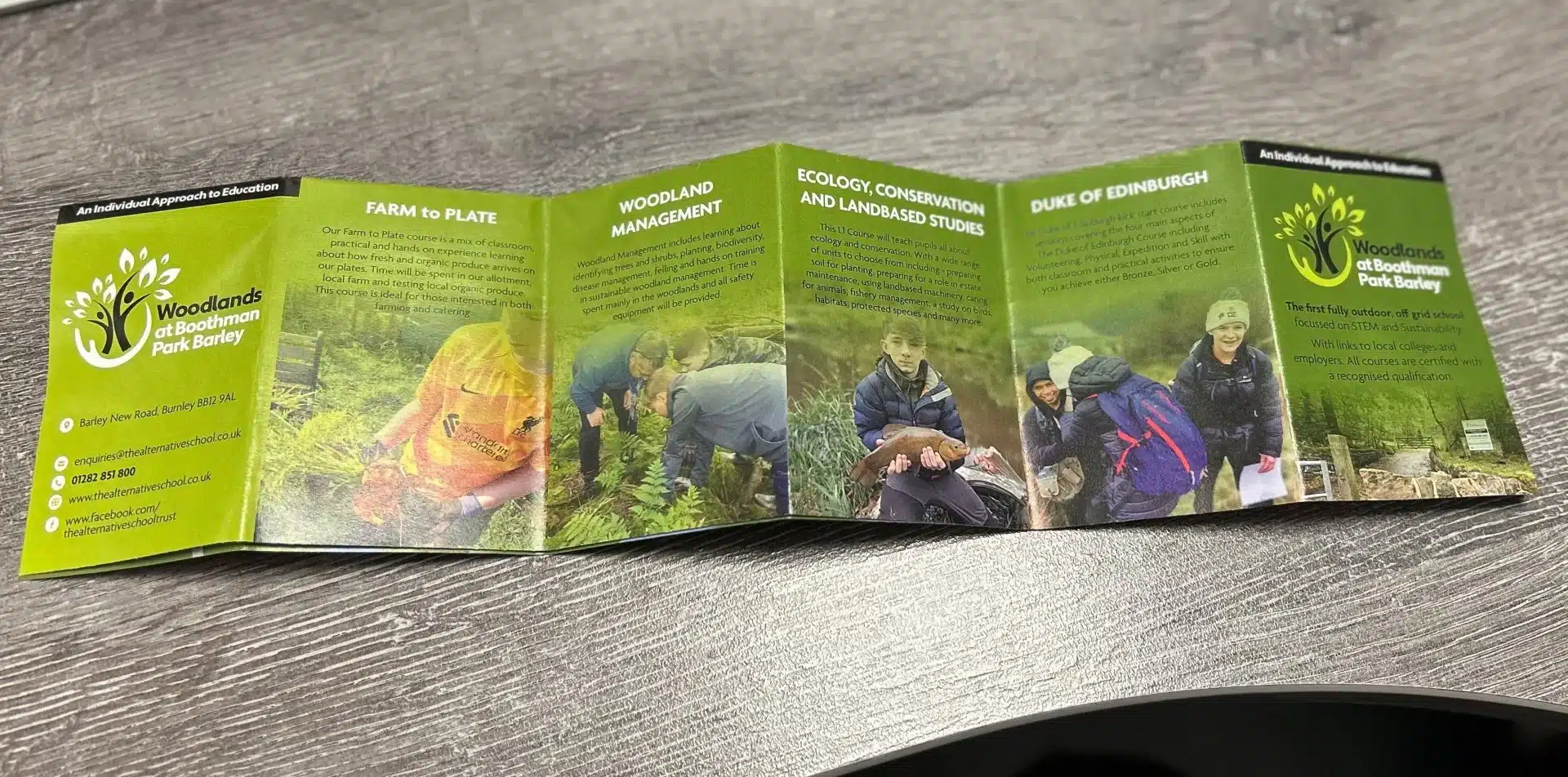 Educational brochure on woodland activities